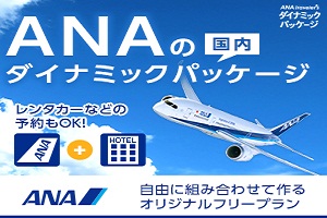 航空券付き宿泊プラン ANA